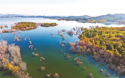 Z6��������ʱ���й����ٷ���վ